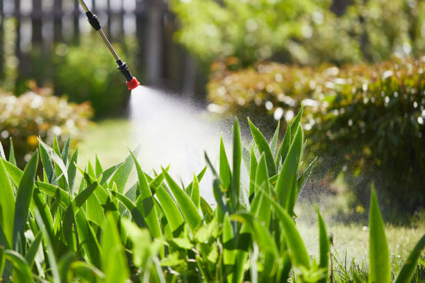24/7 Emergency Mosquito Control experts in Iola, WI